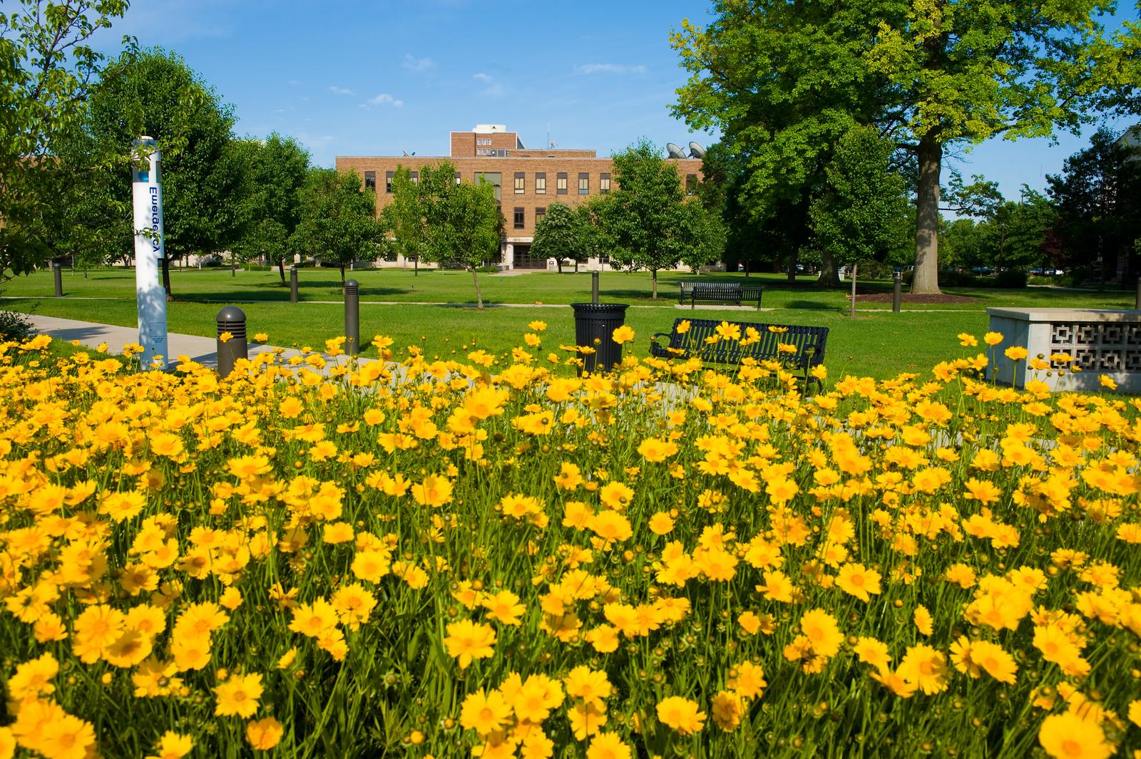 ISU Flower Field